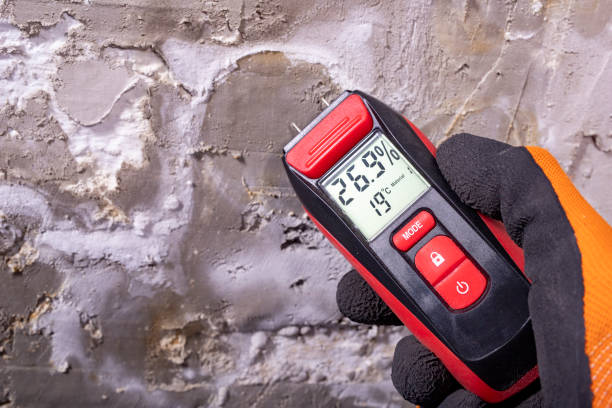 Best Black Mold Removal  in Baltimore, MD