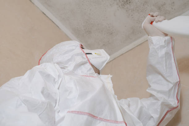 Best Certified Mold Removal  in Baltimore, MD